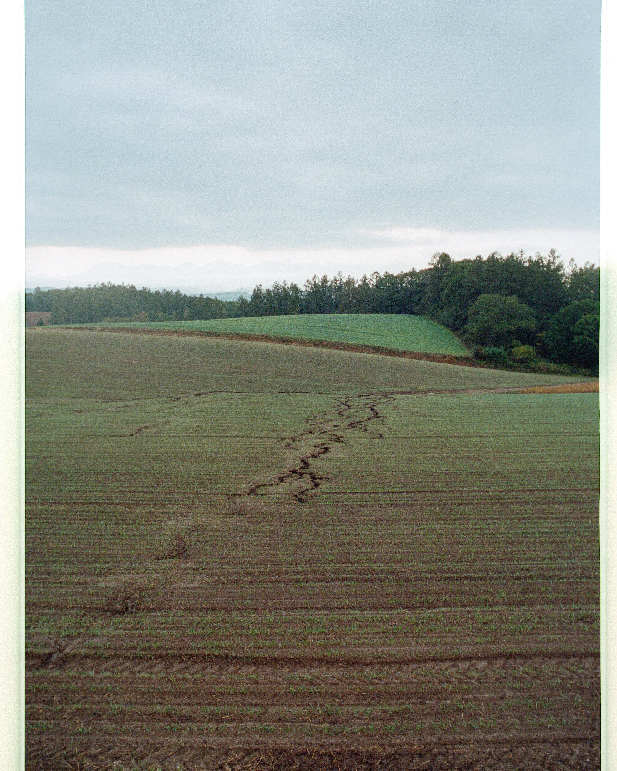 4.27 チェキスナップ撮影会 | 渋谷POP UP STORE