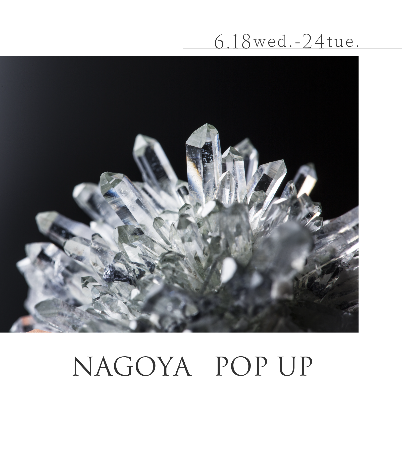 ジェイアール名古屋髙島屋 POP UP STORE |6月18日(水)-24日(火)