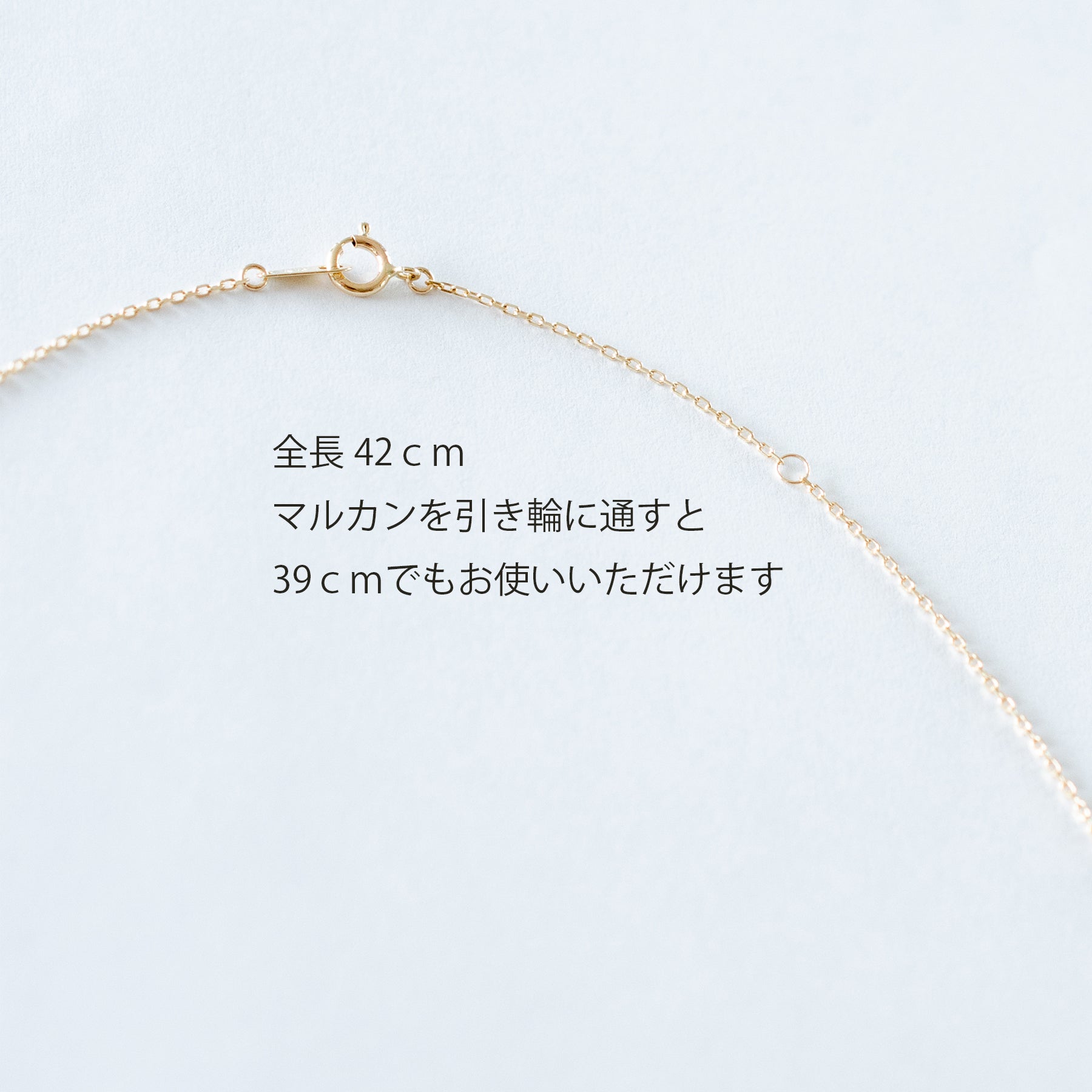 Tropical Fruits|マルチカラーネックレス