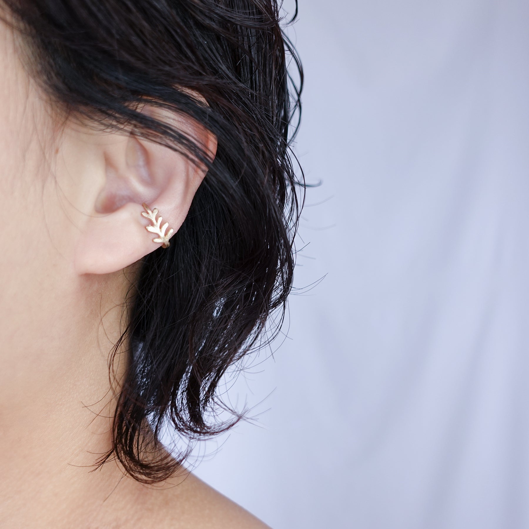 K10 ゴールデンリーフ TACCO