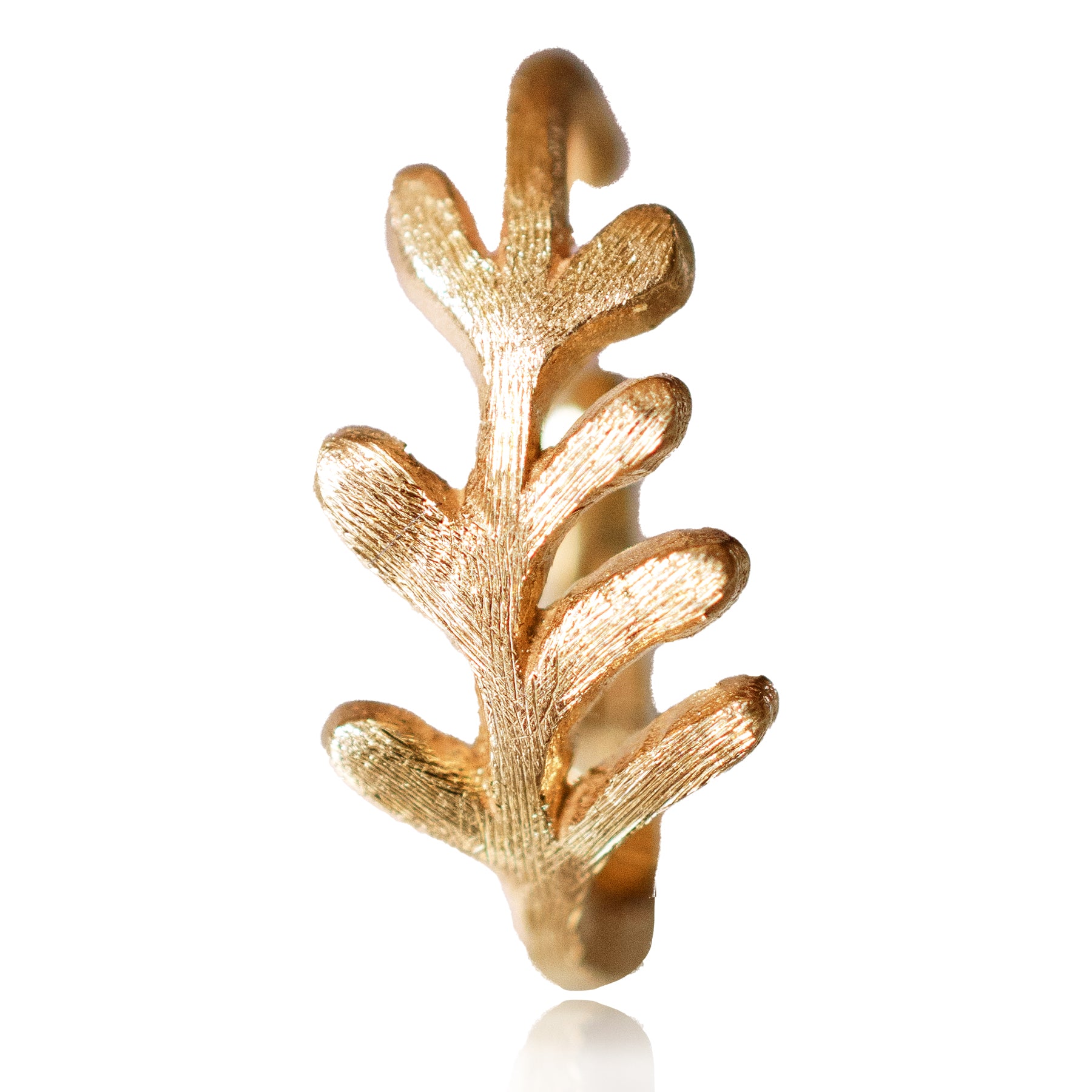 K10 ゴールデンリーフ TACCO