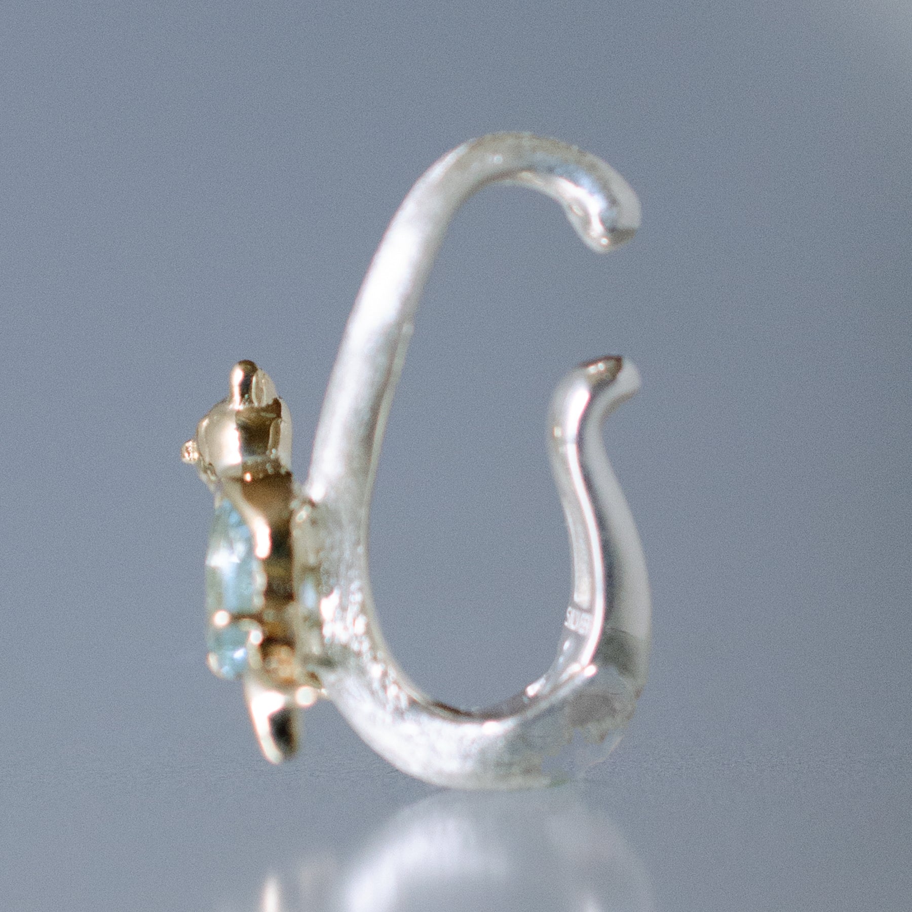 K10,SV アクアマリン バード TACCO