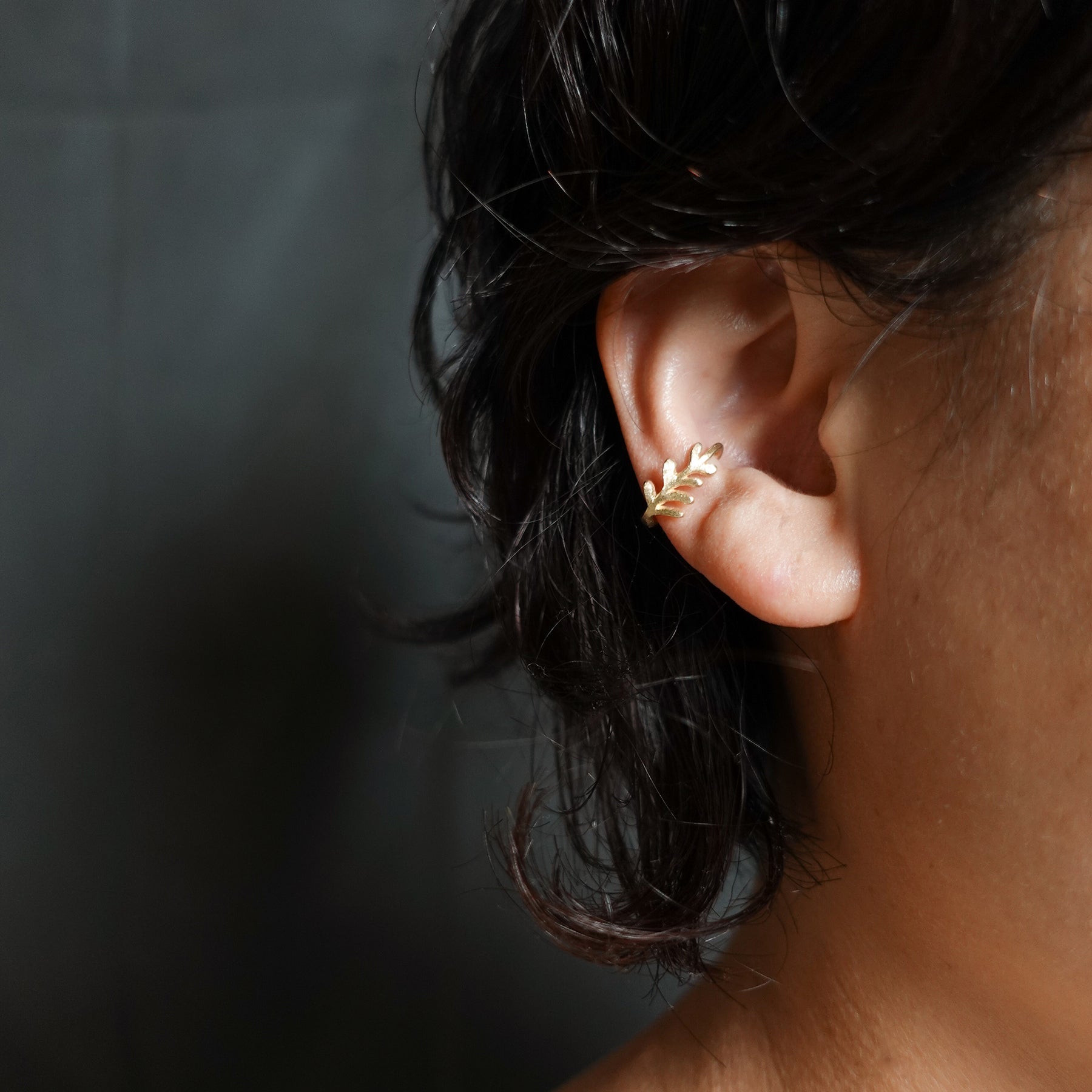 K10 ゴールデンリーフ TACCO