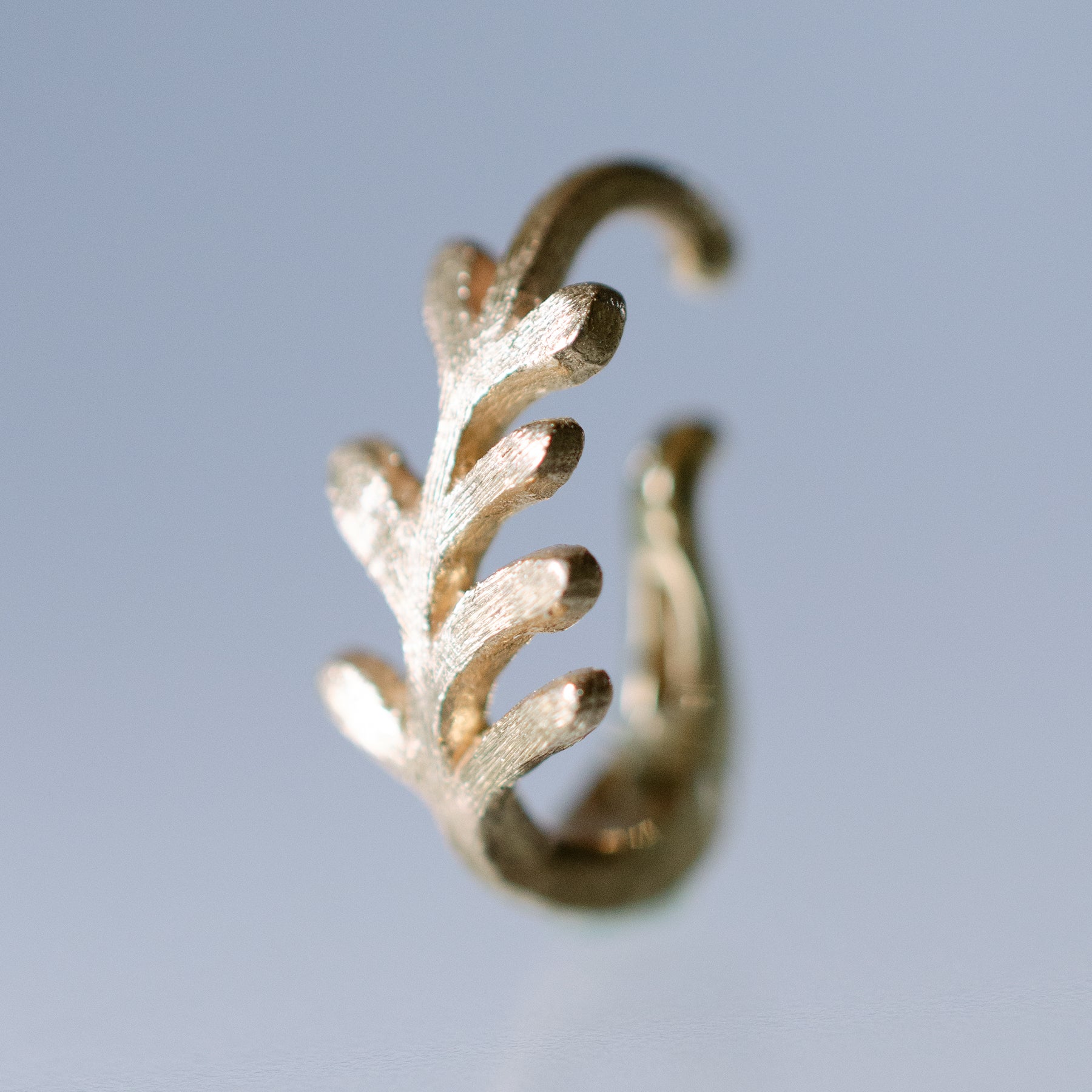 K10 ゴールデンリーフ TACCO