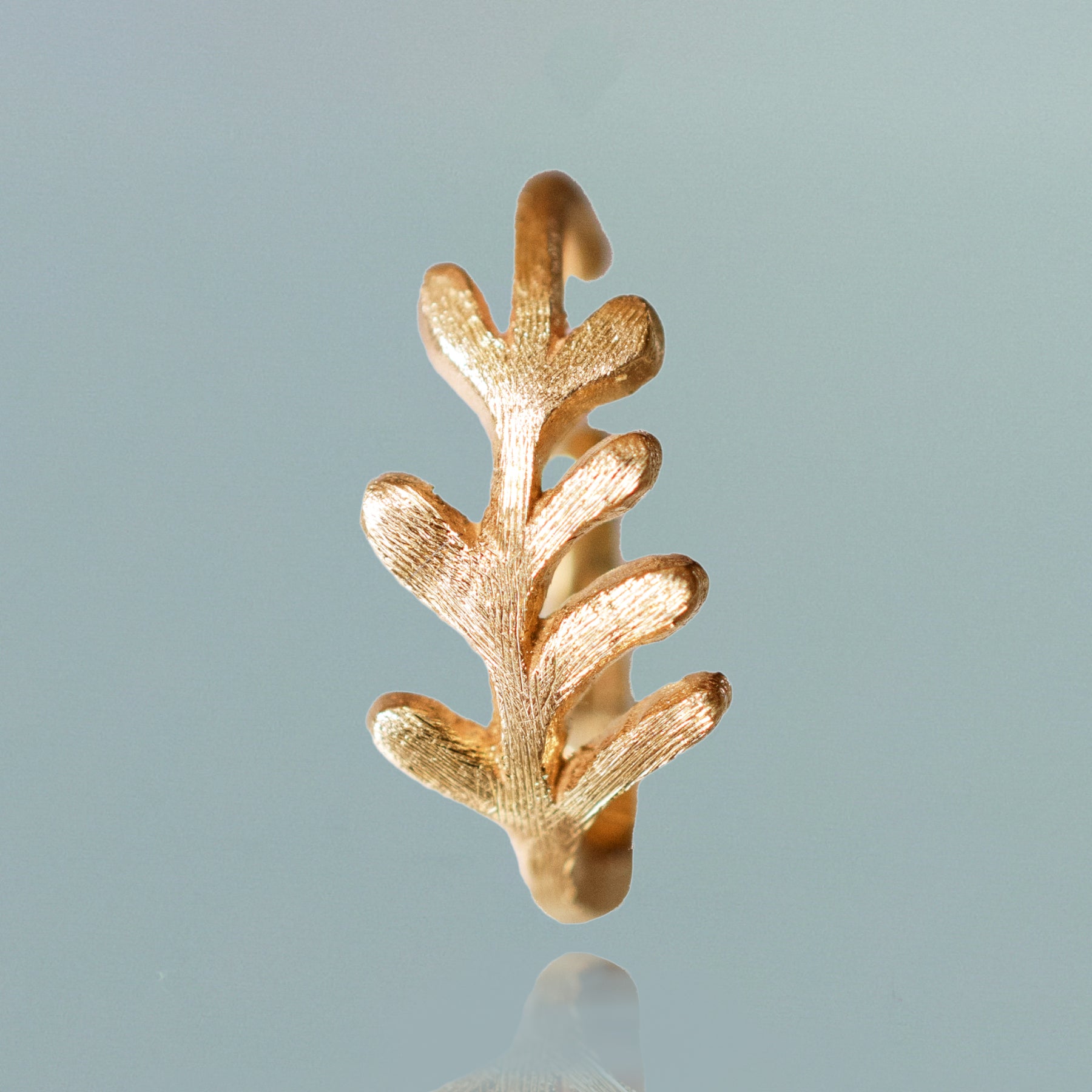 K10 ゴールデンリーフ TACCO